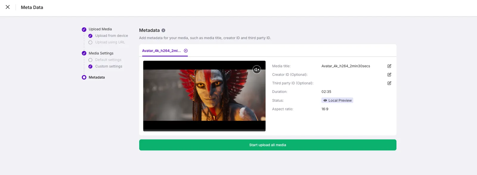Panel showing video preview